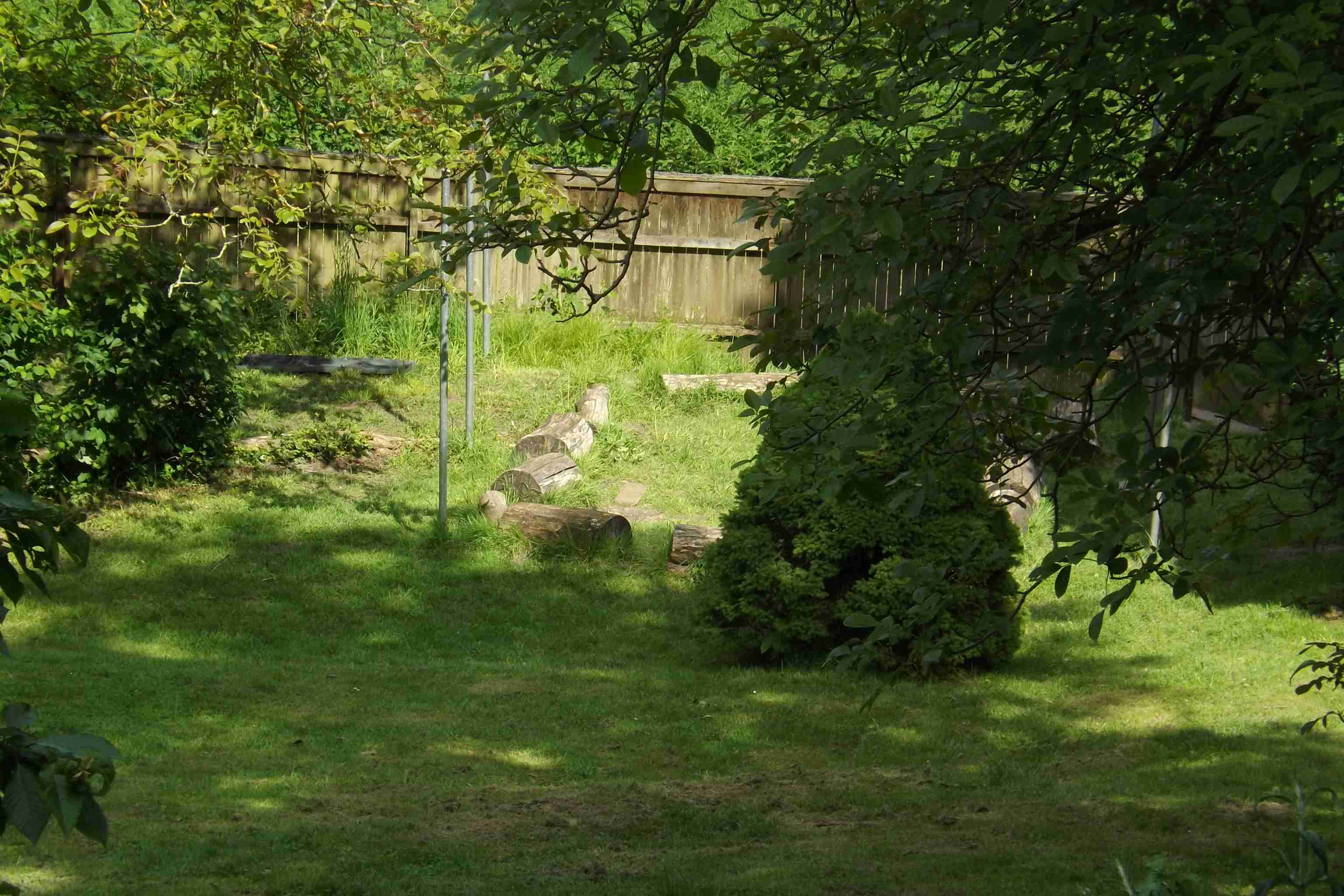 Wilder Hang: Naturbelassenes Grundstück zum Main hin.